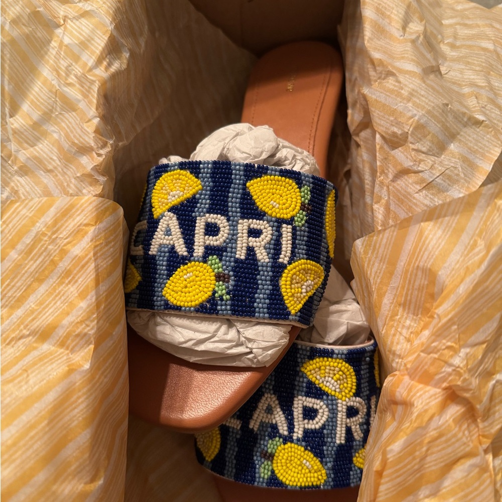 NWT Fiona Beaded Slide Sandals 6.5 Maeve Anthropologie